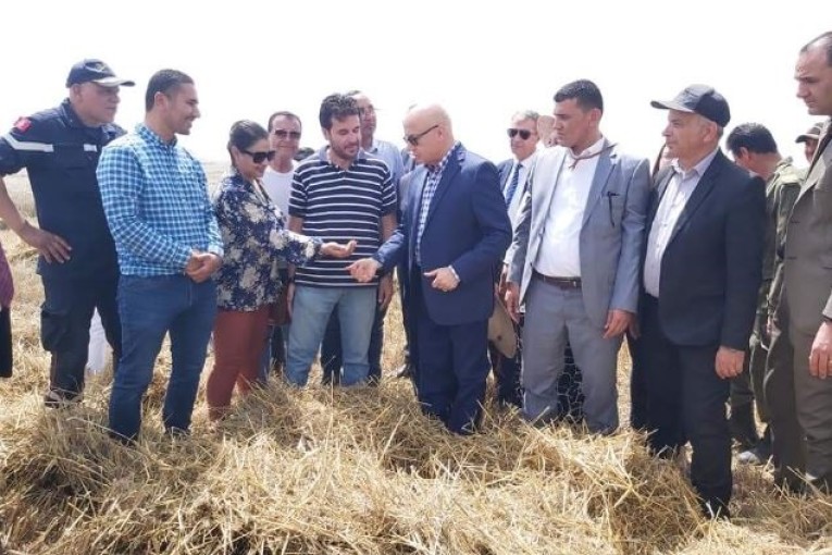 وزير الفلاحة: ‘الأمطار الأخيرة لها تأثيرات جد إيجابية على مجمل الإنتاج الفلاحي ويجب تنويع الأصناف في الزراعات الكبرى’