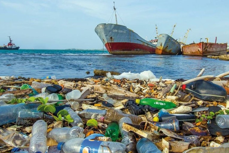 غرفة التجارة التونسية السويدية تنظم الندوة الوطنية حول تحديات مكافحة التلوث البلاستيكي في تونس