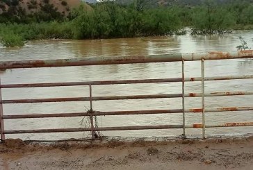 جندوبة: مياه وادي ملاق تغمر عددا من الأراضي الزراعية وتلحق بها أضرارا كبيرة