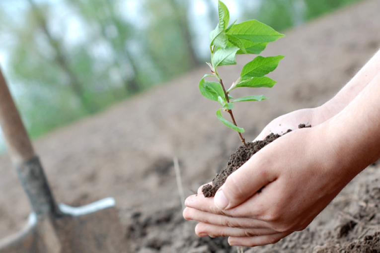 تطاوين: تسجيل كميات هامة من الأمطار ساعدت على نماء الكساء النباتي وري الأشجار المثمرة والزياتين