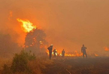 حرائق الغابات: تونس تطلب مساعدة الاتحاد الأوروبي وإسبانيا تستجيب