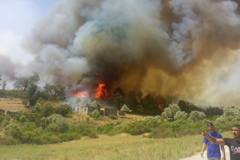 توجه بالشكر للجبش الجزائري وللوفد الإسباني: وزير الداخلية يؤكد السيطرة على جميع الحرائق