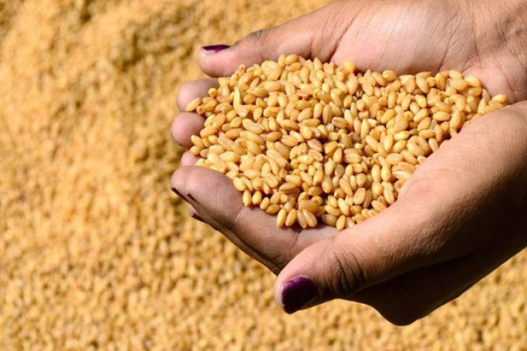 الاحتفاظ بـ 05 موظفين بديوان الحبوب وشركة خاصّة من أجل إرتكاب جرائم الإستيلاء على المال العام وخيانة المؤتمن