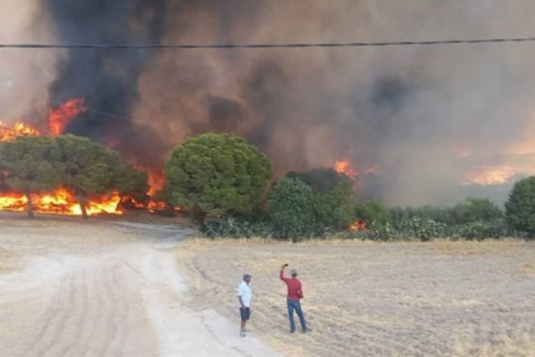 إضافة إلى حريق طبرقة : نشوب حرائق في بنزرت وسليانة وباجة