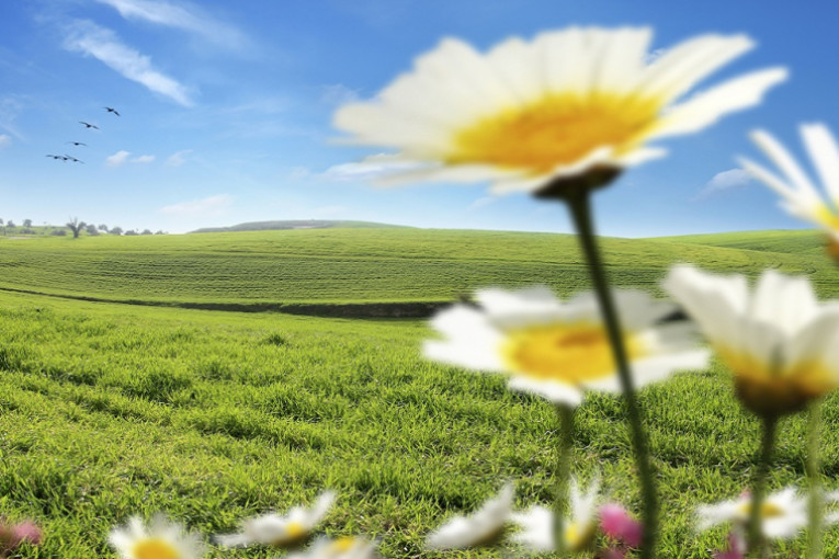 اليوم: الطقس قليل السحب ودرجات الحرارة بين 29 و35 درجة