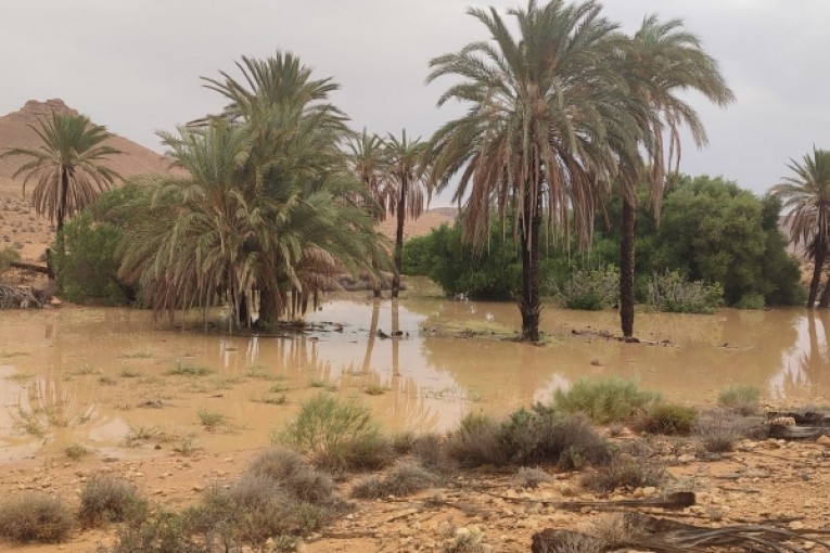 اليوم: أمطار بعدة جهات