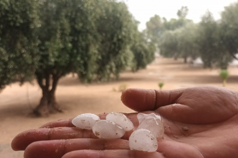 القيروان: أضرار فلاحية جسيمة بسبب البرد