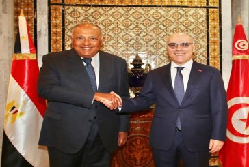 لقاء وزير الخارجية بنظيره المصري: تطابق في وجهات النظر إزاء مستجدّات الأوضاع عربيا واقليميا ودوليا