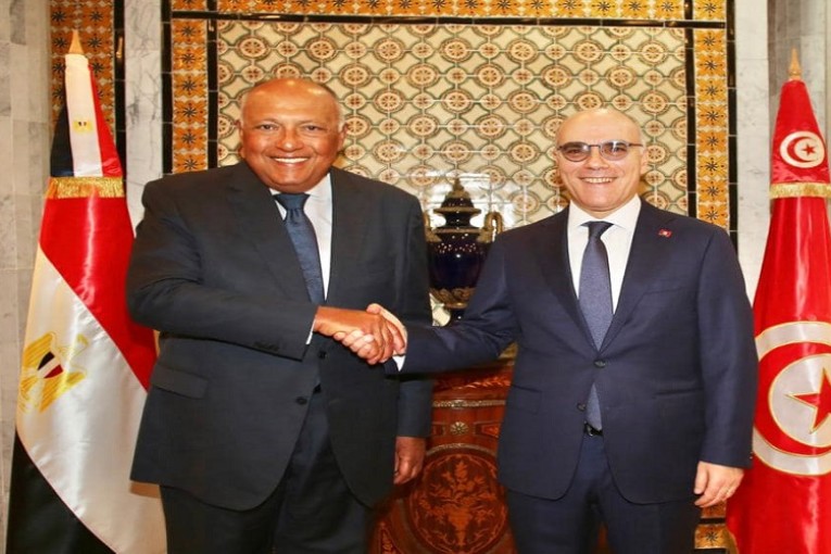 لقاء وزير الخارجية بنظيره المصري: تطابق في وجهات النظر إزاء مستجدّات الأوضاع عربيا واقليميا ودوليا