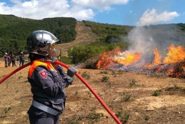 باجة: حصيلة ثقيلة لحرائق جويلية بنفزة والحماية المدنية تؤكد تفادي كارثة في وشتاتة