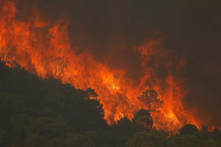 جندوبة: تقدّم هامّ في عمليات إطفاء حرائق فرنانة وعين دراهم وبلطة بوعوان