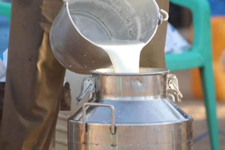 غرفة تجميع الحليب: لاوجود لأزمة.. وتجنبها يقتضي تعديل الأسعار