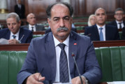 وزير الداخلية: النواب الأوروبيون الأربعة غير مرغوب فيهم في تونس