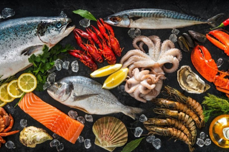 موفي جويلية: الميزان التجاري لمنتوجات الصيد البحري يحقق فائضا قارب 204 مليون دينار