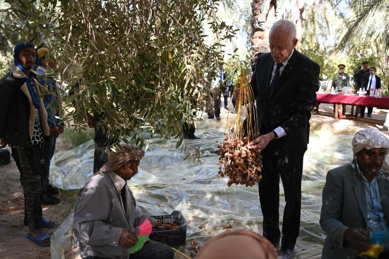 قيس سعيّد: سنعمل على تحقيق الاكتفاء في الغذاء بإرادتنا وثباتنا