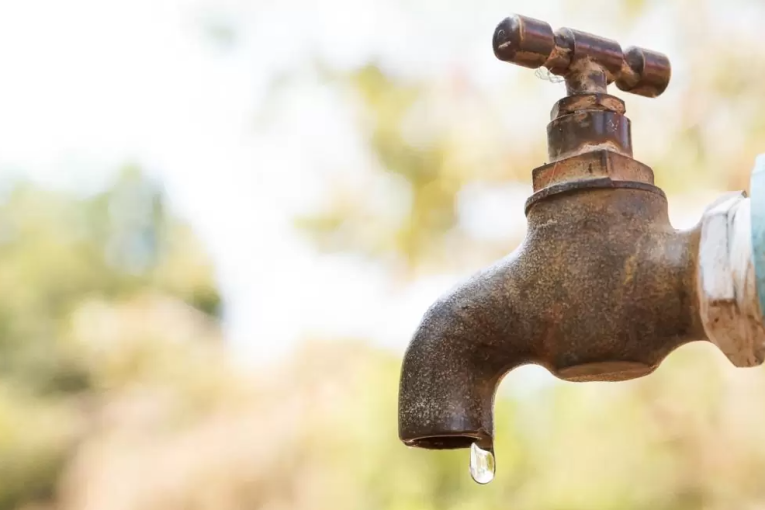 عضو بالمكتب التنفيذي لاتحاد الفلاحة: قطع المياه إجراء صائب…