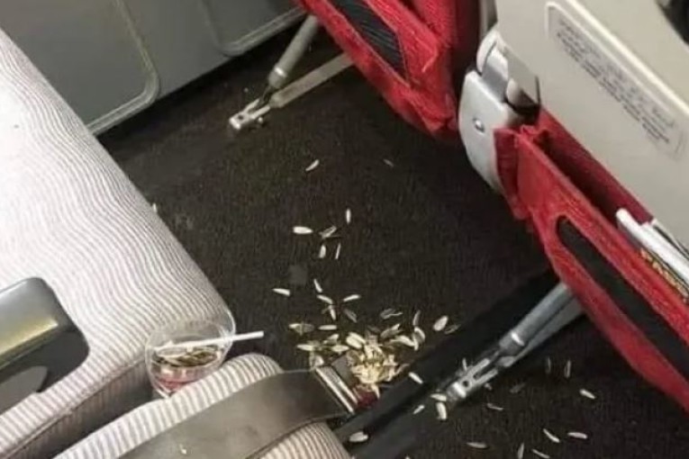 كاميرات مراقبة داخل الطائرات وتتبع عدلي ضدّ المعتدين…