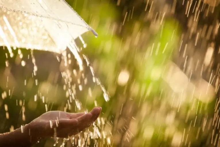 بداية من الثلاثاء القادم.. غيث نافع بكميات هامة