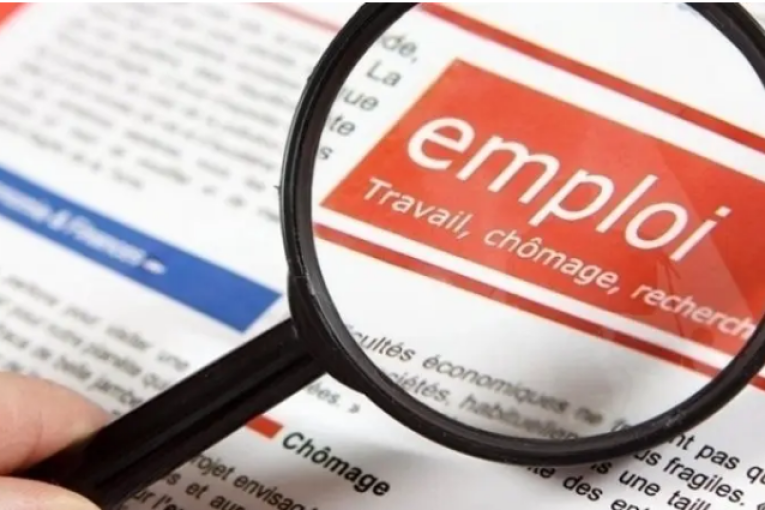 وزارة التشغيل: نطمح إلى توفير 132 ألف فرصة عمل السنة المقبلة