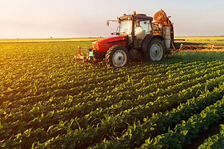 بنزرت:المصادقة على تمويل 33 مشروعا فلاحيا