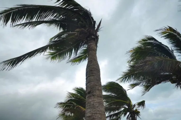 أمطار ورياح قويّة يوم الثلاثاء