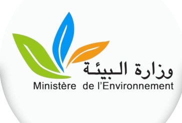 وزيرة البيئة: قريبا مشروع قانون لفرز النفايات قبل وصولها إلى المصبات