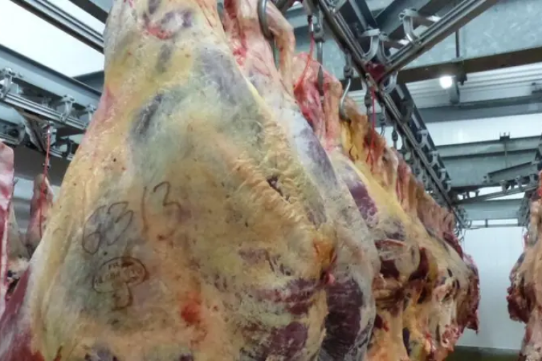 بسعر 36 دينارا..نحو توريد كميات من اللحوم الحمراء خلال شهر رمضان