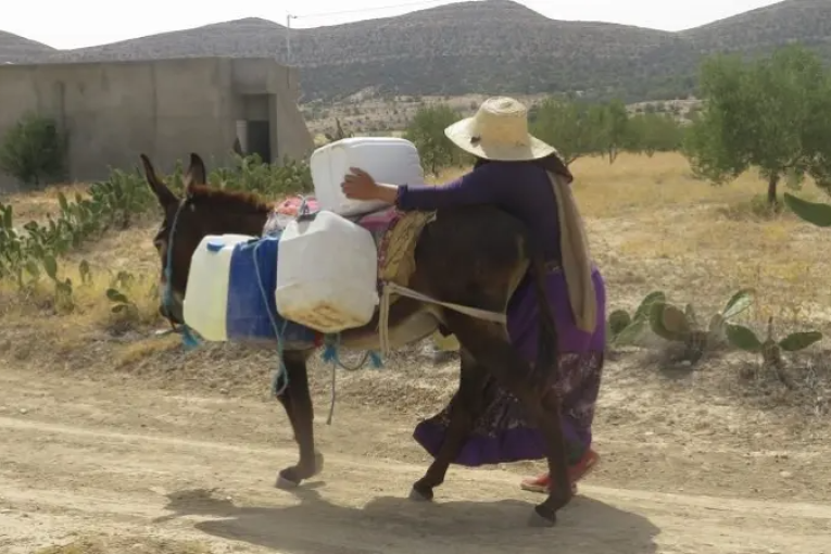 القيروان.. أكثر الولايات حاجة إلى التزوّد بالمياه
