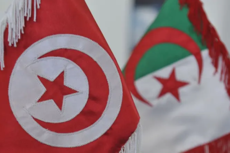 تبادل المجرمين وتنفيذ طلبات التفتيش.. اتفاقية قضائية بين تونس والجزائر