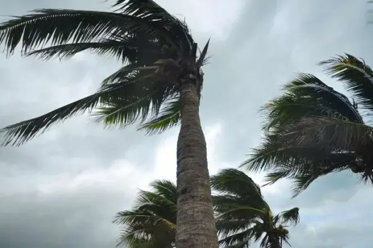 طقس الخميس 28 مارس 2024