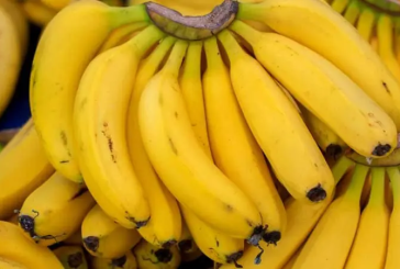 حجز 16 طنّا من الموز المهرب خلال الأسبوع الأوّل من رمضان