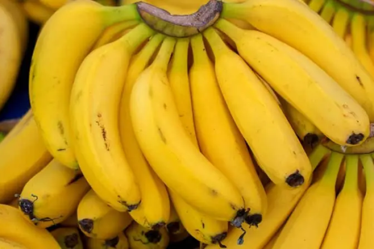 حجز 16 طنّا من الموز المهرب خلال الأسبوع الأوّل من رمضان