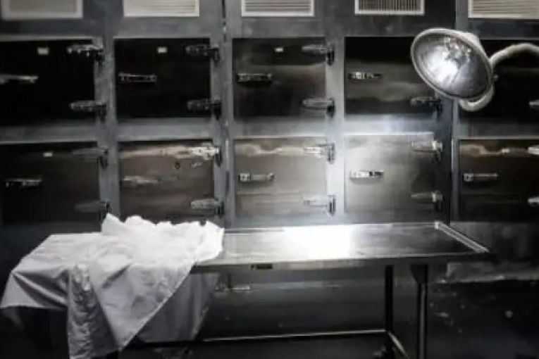 تونس تسجل خامس وفاة بداء الكلب منذ بداية السنة