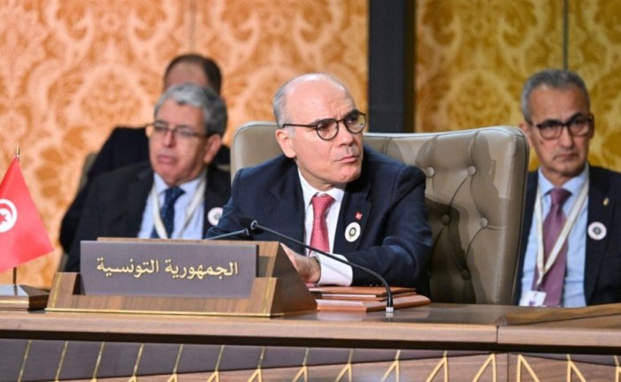 وزير الخارجية: نتطلع لأن تخرج القمة العربية بقرارات ترقى إلى مستوى تطلعات الدول