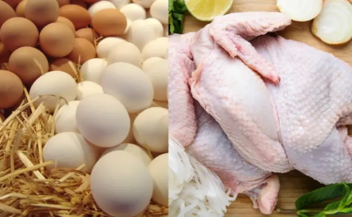 المرصد الوطني للفلاحة: انخفاض أسعار الدجاج والبيض