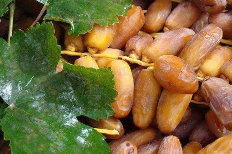 ارتفاع بـ21،2% في مداخيل تصدير التمور