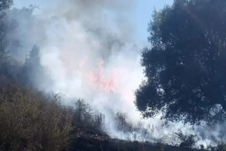 حريق بغابة الموامنية في عين دراهم