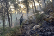 بنزرت: السيطرة على حريق بالغابة الشعراء لجبل المنارة