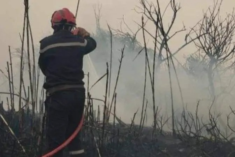 حرائق في ستّ ولايات جزائرية