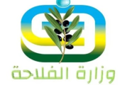 وزارة الفلاحة تدعو أصحاب ضيعات الزيتون المروي للحد قدر الإمكان من الري