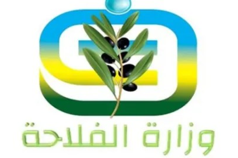 وزارة الفلاحة تدعو أصحاب ضيعات الزيتون المروي للحد قدر الإمكان من الري