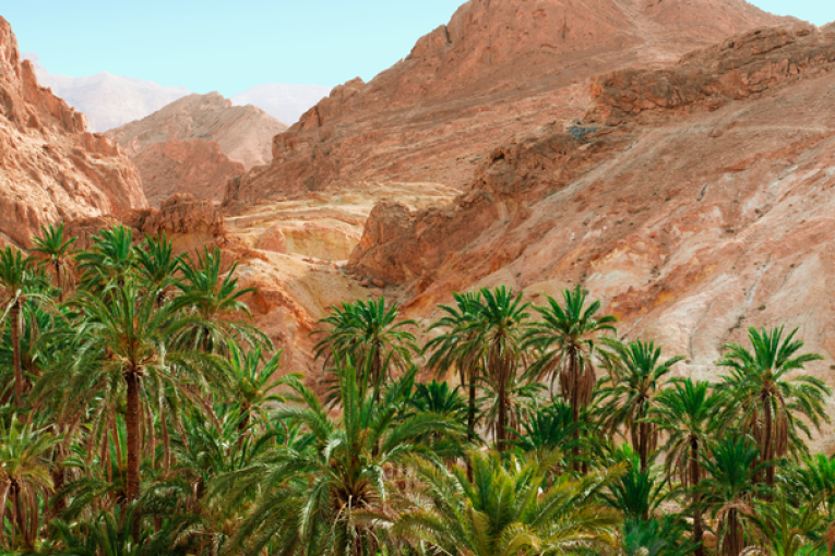 توزر: تحسن أغلب مؤشرات النشاط السياحي