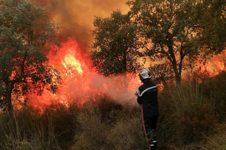 جندوبة: حريق يأتي على 20 هك من الحصيدة