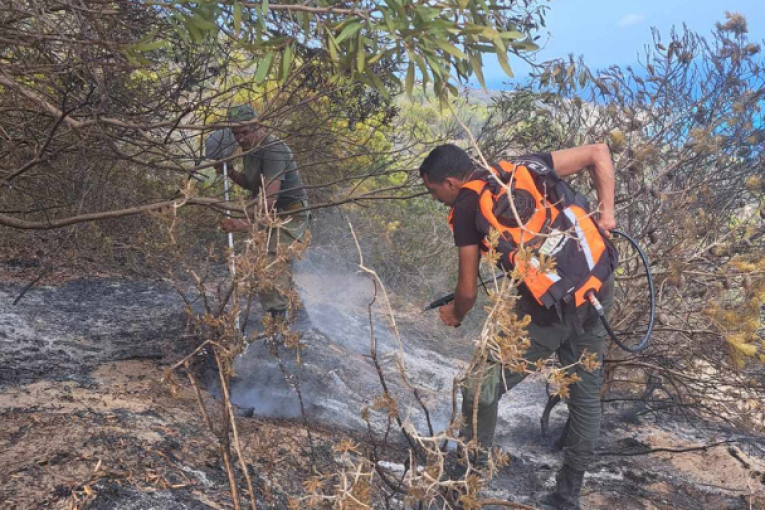 نابل: إخماد حريق أتى على 3 هكتارات من الأشجار والأعشاب بوادي قبة الآغة بقربة