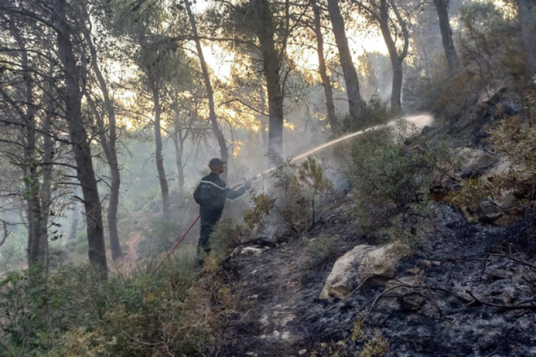 سليانة: السيطرة على حريق نشب بجبل عين بوسعدية بمعتمدية برقو