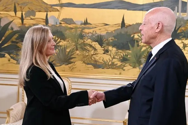 رئيس الجمهورية يستقبل سفيرة بريطانيا بمناسبة انتهاء مهامها