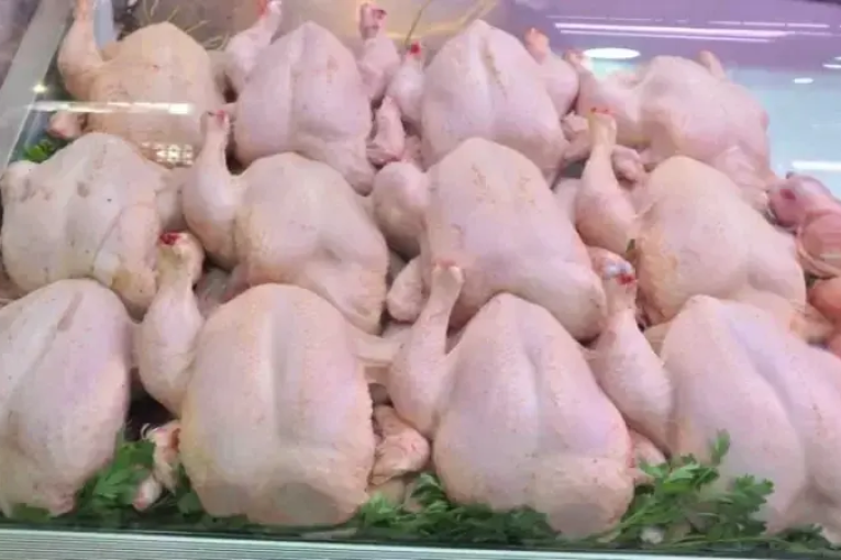رئيس غرفة تجار الدواجن واللحوم البيضاء يؤكد ارتفاع نسق تزويد السوق