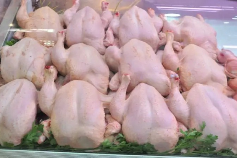 انفراج مرتقب في التزود باللحوم البيضاء..وتوقعات بتحقيق فائض في الانتاج