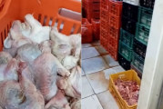 نابل: الكشف عن مسلخ عشوائي وحجز 3400 كغ من لحوم الدواجن الفاسدة