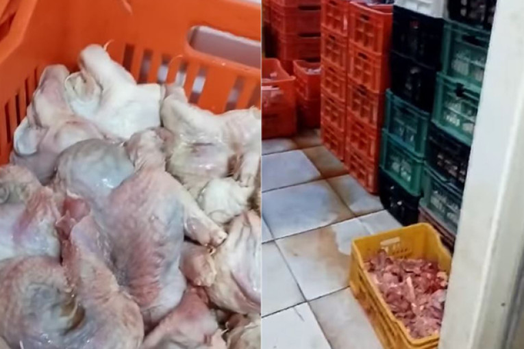 نابل: الكشف عن مسلخ عشوائي وحجز 3400 كغ من لحوم الدواجن الفاسدة